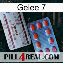 Jelly 7 36